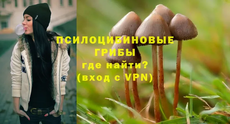 МЕГА рабочий сайт  Грязовец  Псилоцибиновые грибы Magic Shrooms 